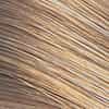 Wella Color Perfect 6N Dark Blonde Permanent Creme Gel Haircolor